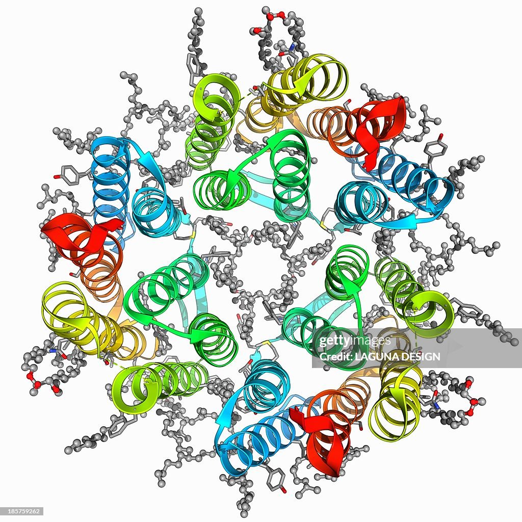 Bacteriorhodopsin protein