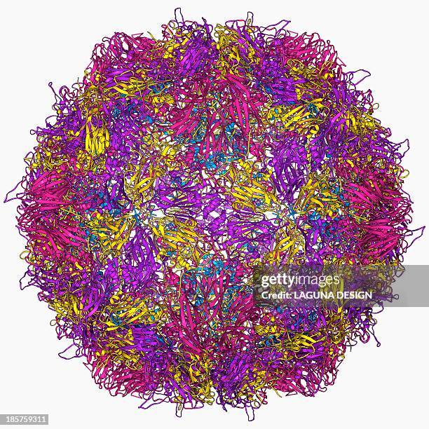 poliovirus particle - protein coat stock illustrations