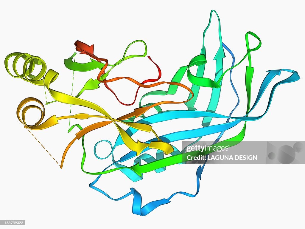 Ebola matrix protein molecule