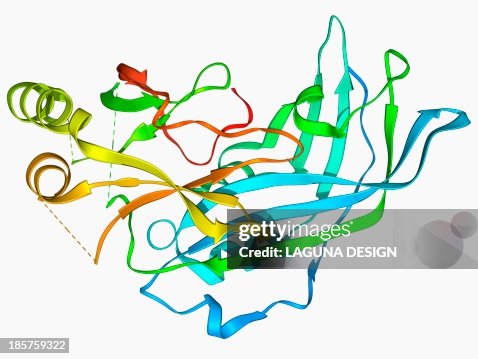Ebola matrix protein molecule Ebola matrix protein molecule