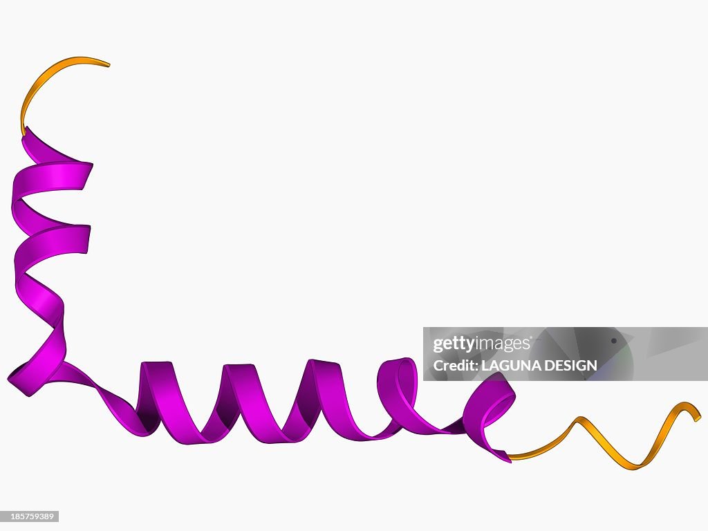 Amyloid beta protein molecule