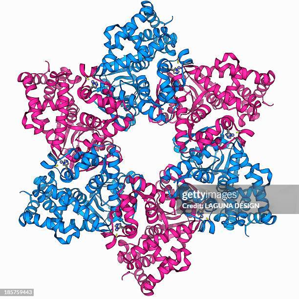 dna helicase molecule - proto oncogene stock-grafiken, -clipart, -cartoons und -symbole