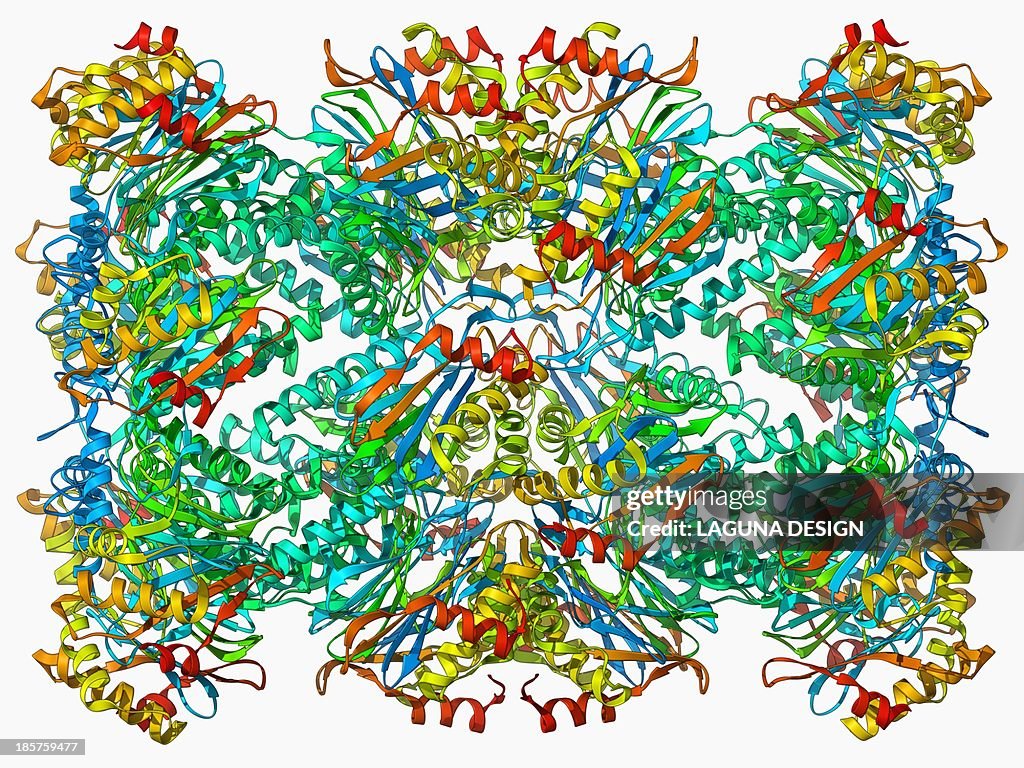 Archaeon enzyme, molecular model