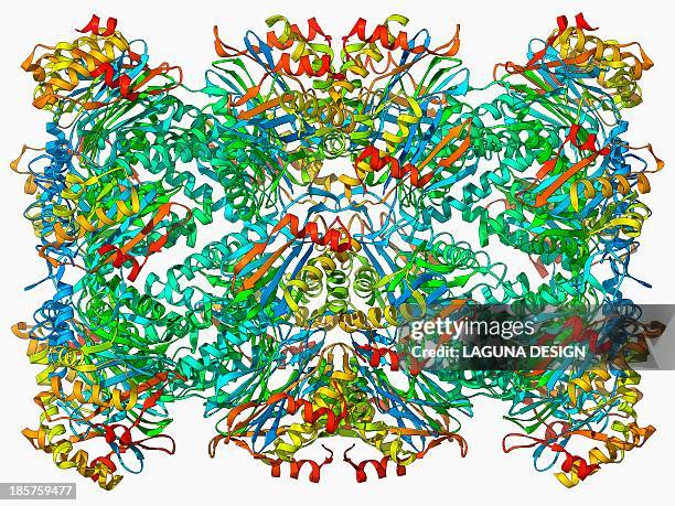 Archaea Model 30 Archaea Bacteria High Res Illustrations - Getty Images