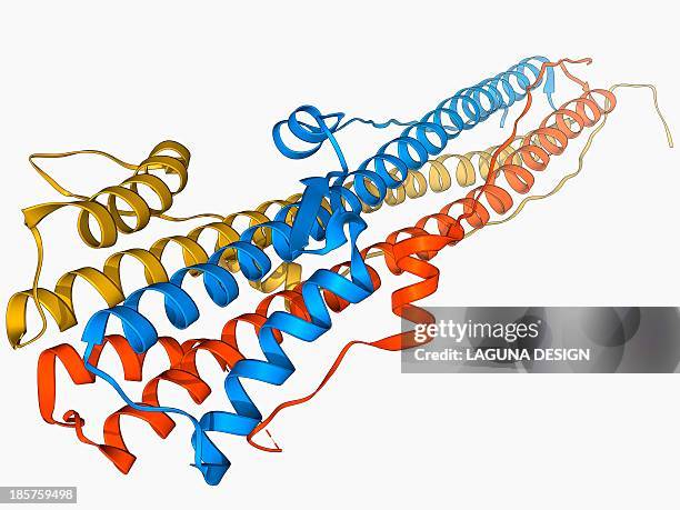 haemagglutinin protein subunit - virus mutation stock illustrations