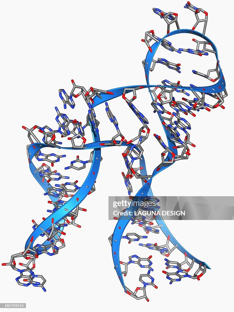 Hammerhead ribozyme molecule