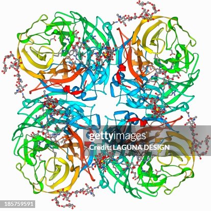 Flu virus surface protein molecule Flu virus surface protein molecule