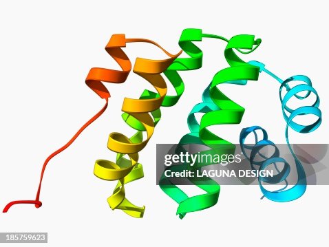 Programmed cell death protein molecule Programmed cell death protein molecule