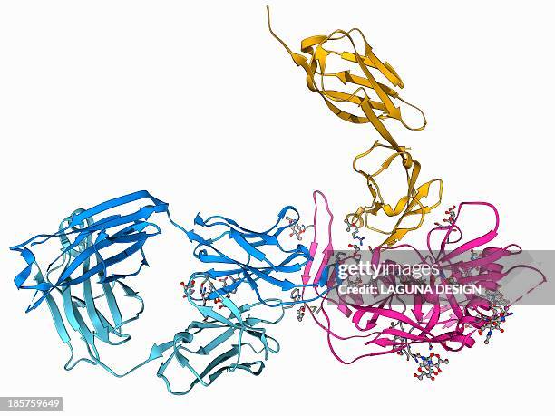 hiv antibody therapy, molecular model - retrovirus stock illustrations