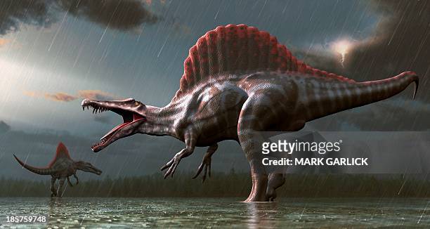 artwork of a spinosaurus dinosaur - prehistoric era stock illustrations