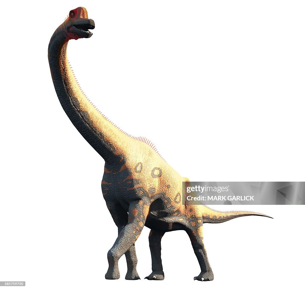 Artwork of brachiosaurus