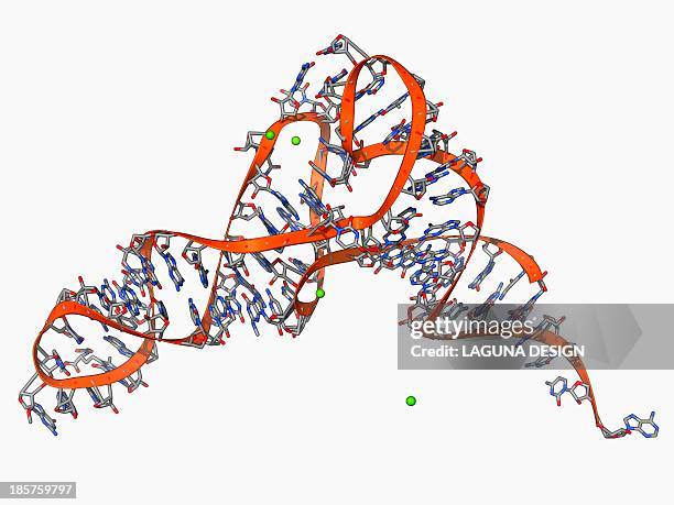 Trna Texture 31 Trna High Res Illustrations - Getty Images