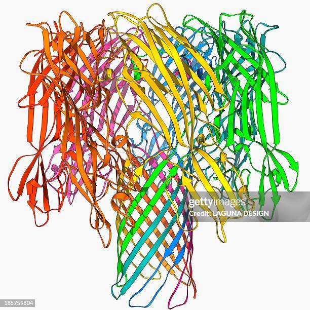 bacterial alpha-hemolysin toxin - staphylococcus aureus stock illustrations