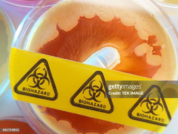 antibiotic testing - biochemical weapon stock pictures, royalty-free photos & images