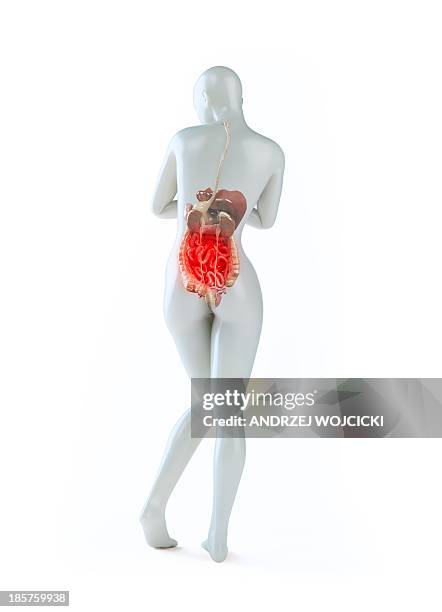 abdominal pain, conceptual artwork - constipation stock illustrations