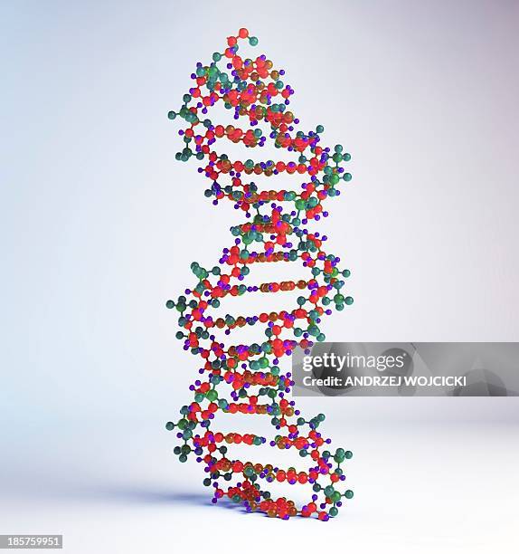 dna molecule, artwork - helix stock illustrations