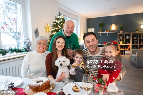 portrait of a caucasian multi-generational family, during a christmas lunch - maltese dog stock pictures, royalty-free photos & images