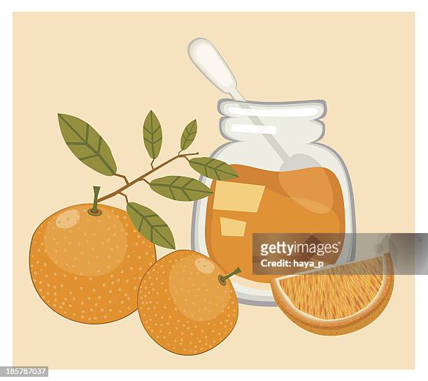 ilustraciones, imágenes clip art, dibujos animados e iconos de stock de mermelada de naranja y naranjas - marmalade