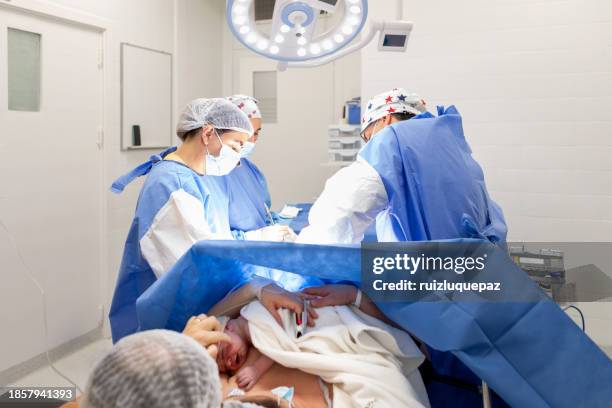 doctors performing a cesarean section in the operating room - animal medical center stock pictures, royalty-free photos & images