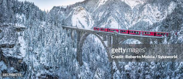 swiss red train crossing the snowy alpine woods - zwitserse cultuur stockfoto's en -beelden