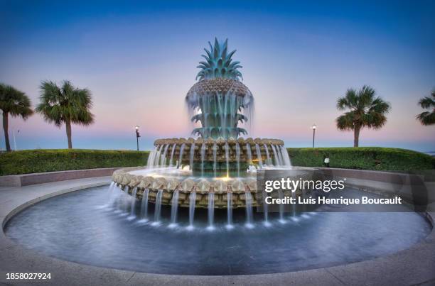 pineapple fountain & blue hour. - charleston carolina do sul imagens e fotografias de stock