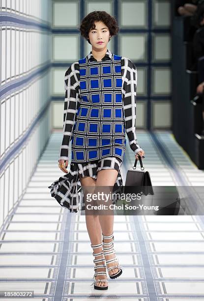 Model walks the runway during the Jardin De Chouette show at Seoul Fashion Week 2014 S/S at Grand Hyatt Hotel on October 22, 2013 in Seoul, South...