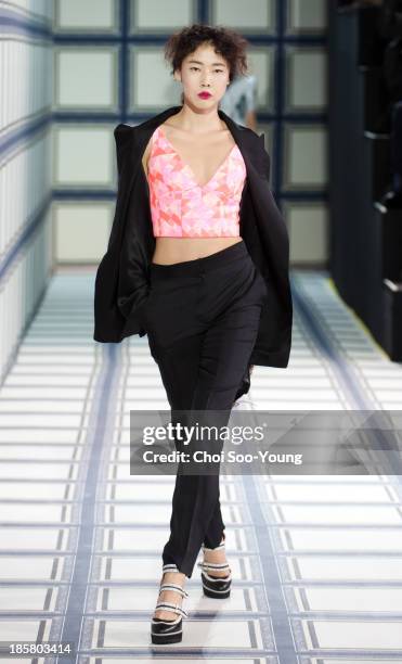 Model walks the runway during the Jardin De Chouette show at Seoul Fashion Week 2014 S/S at Grand Hyatt Hotel on October 22, 2013 in Seoul, South...