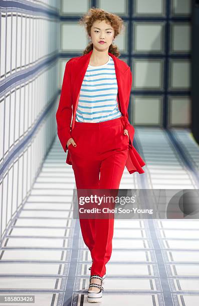 Model walks the runway during the Jardin De Chouette show at Seoul Fashion Week 2014 S/S at Grand Hyatt Hotel on October 22, 2013 in Seoul, South...