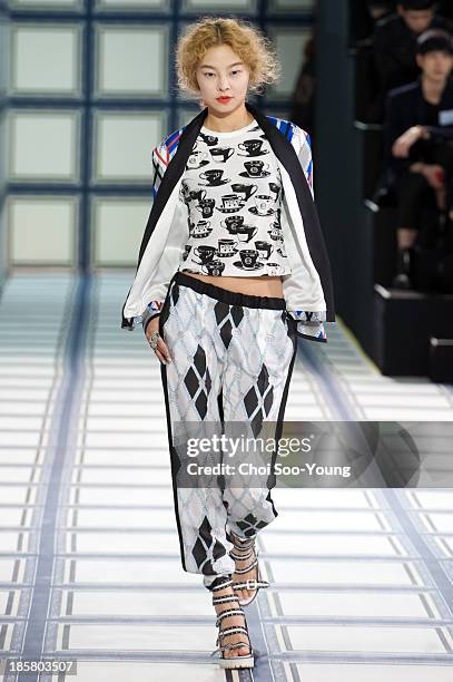 Model walks the runway during the Jardin De Chouette show at Seoul Fashion Week 2014 S/S at Grand Hyatt Hotel on October 22, 2013 in Seoul, South...