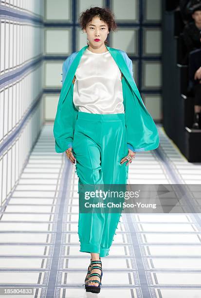 Model walks the runway during the Jardin De Chouette show at Seoul Fashion Week 2014 S/S at Grand Hyatt Hotel on October 22, 2013 in Seoul, South...