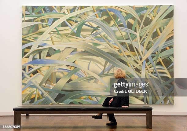 Visitor looks at an artwork called 'Grass IV' by Swiss artist Franz Gertsch on October 24, 2013 at the Museum Frieder Burda, in Baden-Baden, as part...