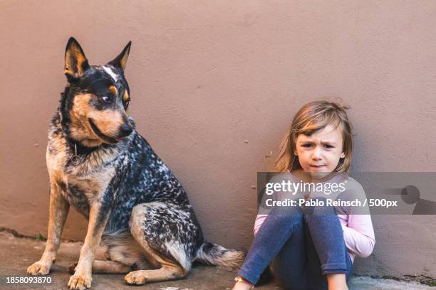 portrait of girl with australian cattle dog sitting against wall - australian cattle dog 個照片及圖片檔