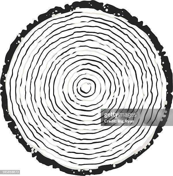 baum ringe - tree rings stock-grafiken, -clipart, -cartoons und -symbole