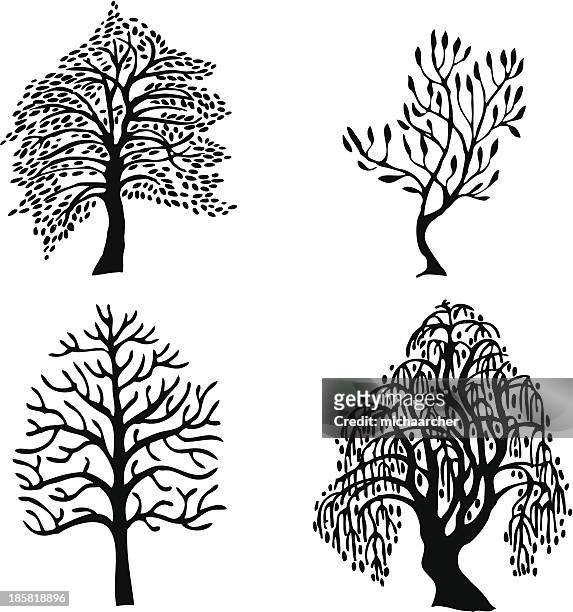 four trees - willow tree stock illustrations