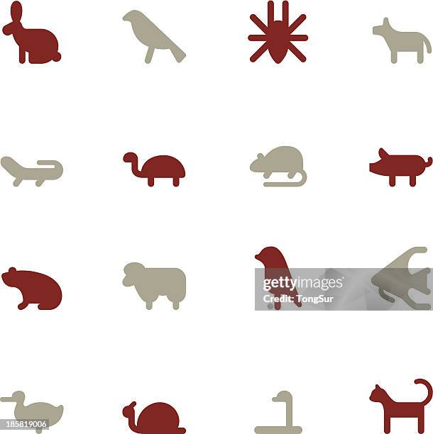 icons of pets in a color pattern on white paper - hare stock illustrations