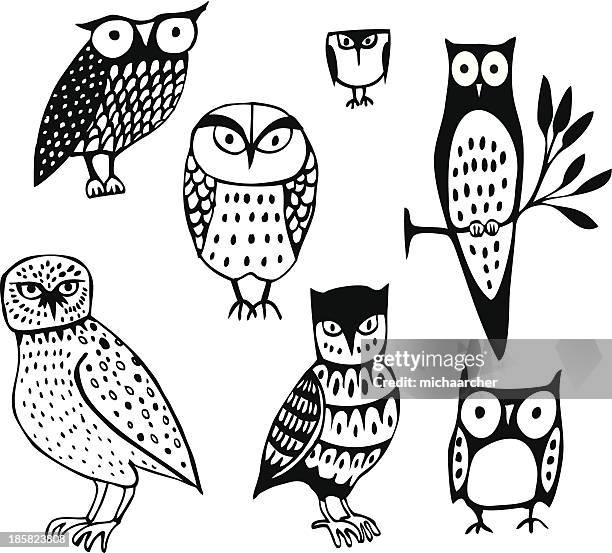 ilustrações de stock, clip art, desenhos animados e ícones de sete owls - corujas