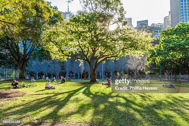 australia - hyde park sydney foto e immagini stock