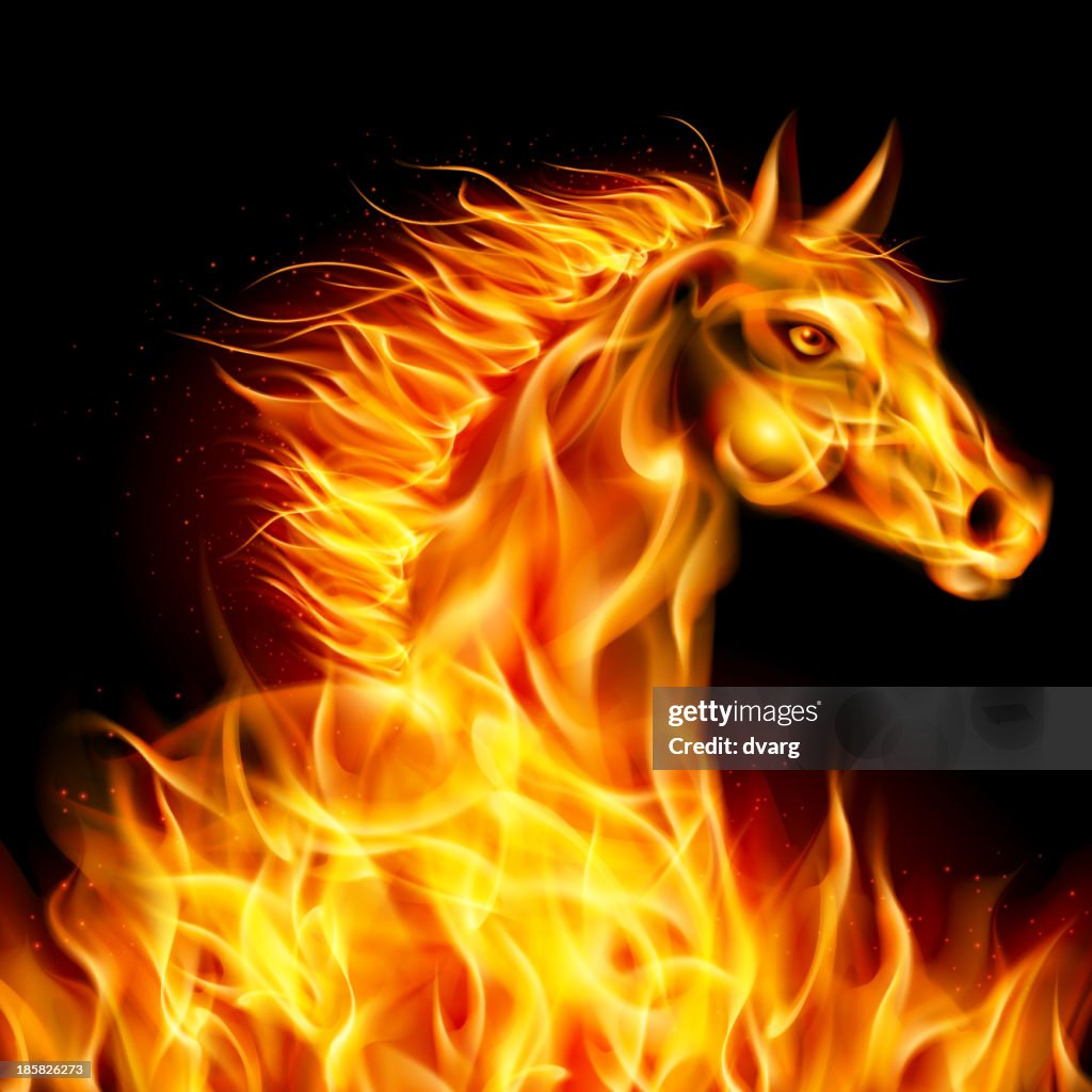 Fire horse.