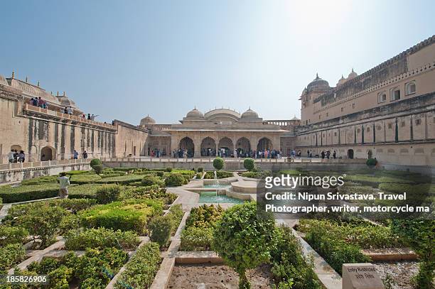 inner gardens of the aamer fort, jaipur - jaipur stockfoto's en -beelden