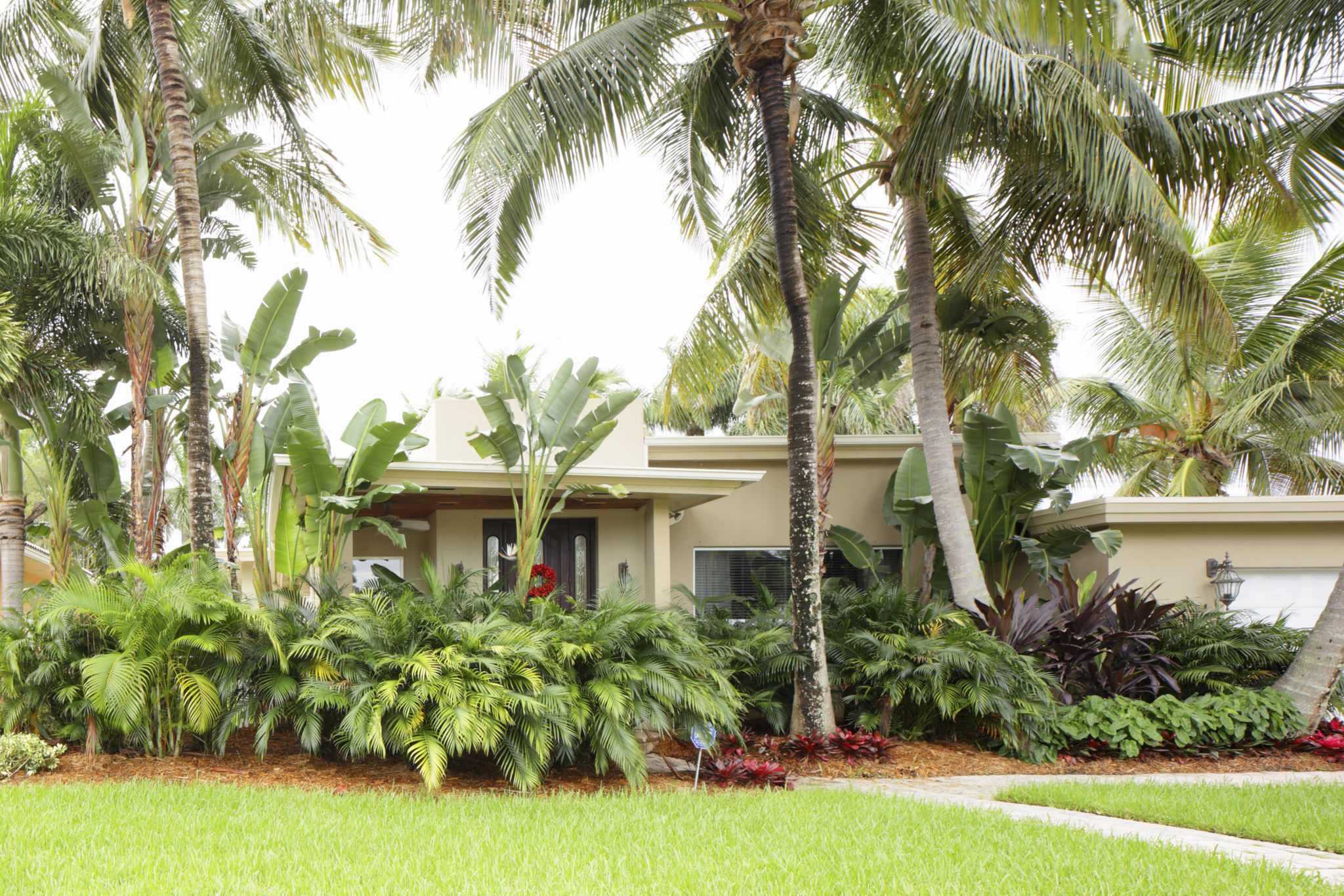 tropical home painting