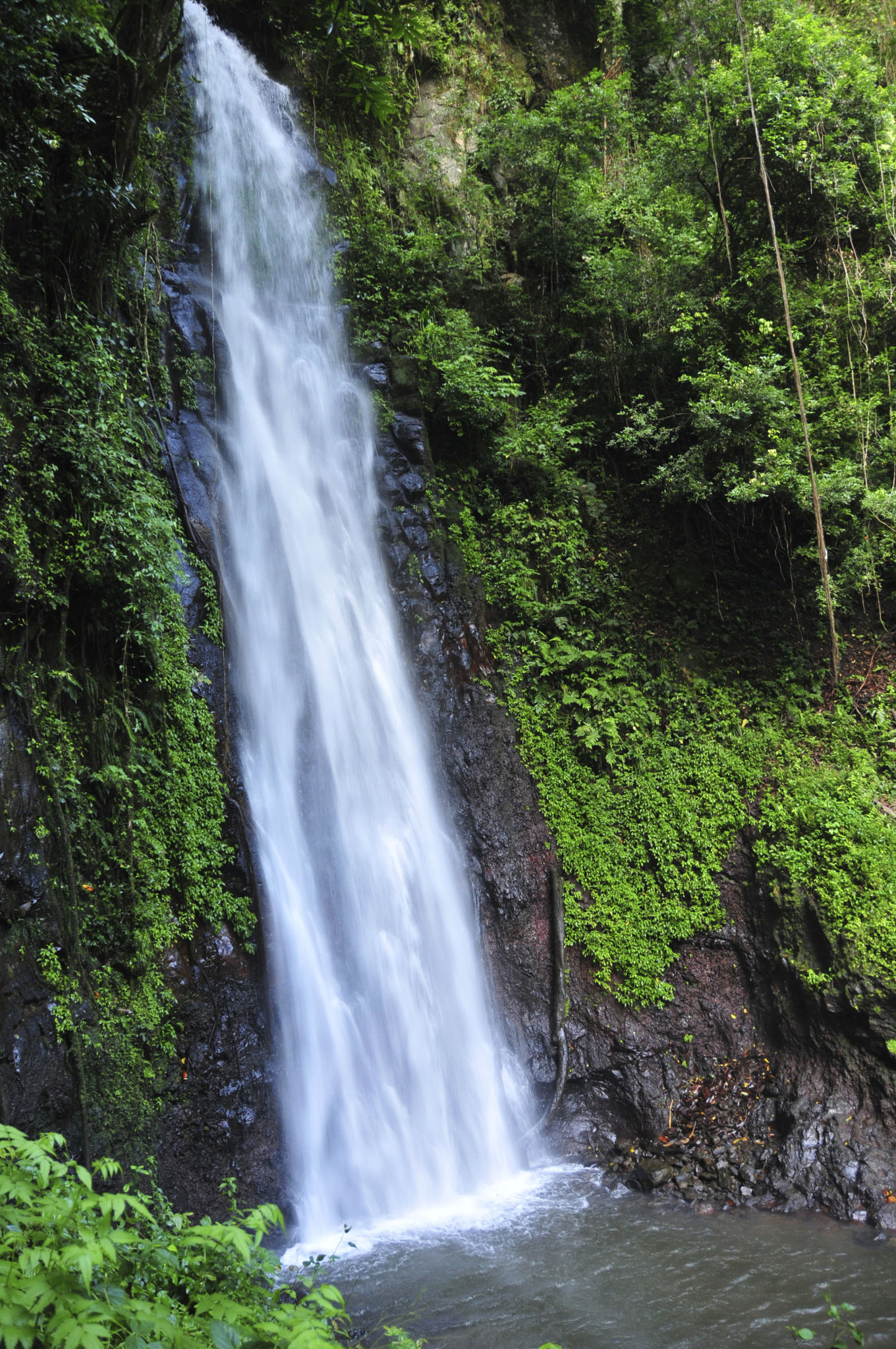 Saint-Nicholas waterfall, Sao Tome and Principe Saint-Nicholas waterfall, Sao Tome and Principe