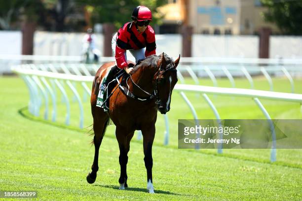 Rachel King riding Anode wins Race 1 James Squire Handicap during Sydney Racing at Royal Randwick Racecourse on December 16, 2023 in Sydney,...