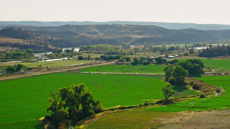 Catle Ranch Field 115 Cattle Ranch Montana Stock Videos, Footage, & 4K Video Clips ...