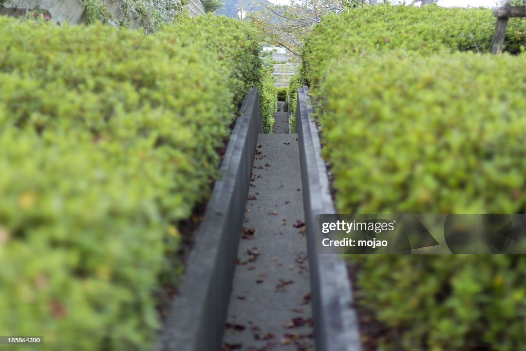 Ditch
