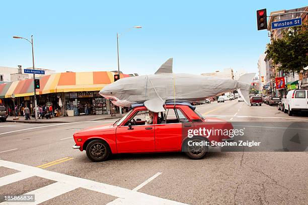 man driving car with papier-mache shark on roof - los angeles art stock-fotos und bilder