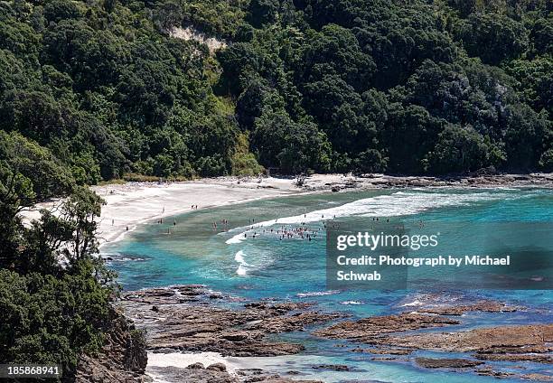 rare crowd on new zealand beach - bay of plenty stockfoto's en -beelden