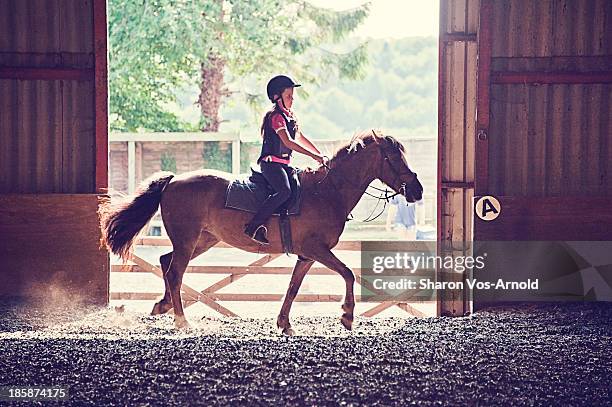 girl riding pony, indoor school, backlit by sun - kastanienfarben stock-fotos und bilder