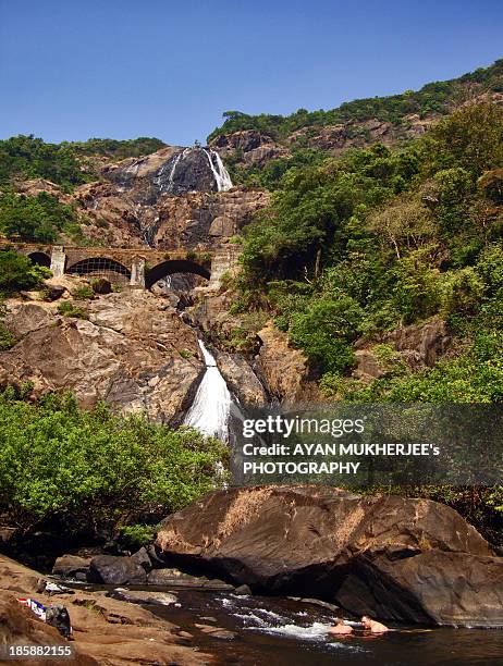 Dudhsagar Falls Photos and Premium High Res Pictures - Getty Images Dudhsagar Falls Photos and Premium High Res Pictures - Getty Images