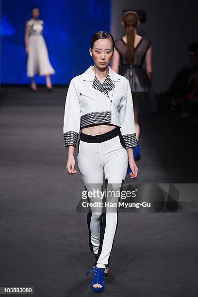 Model walks the runway wearing 'Kwak Hyun-Joo' 2014 S/S collection during Seoul Fashion Week Spring/Summer 2014 at Yeoido Park on October 22, 2013 in...