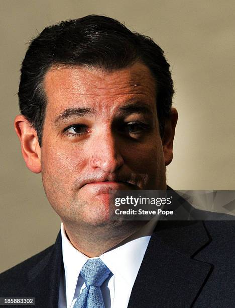 Senator Ted Cruz speaks at the annual Ronald Reagan Commemorative Dinner on, October 25, 2013 in Des Moines, Iowa. Cruz was the keynote speaker.